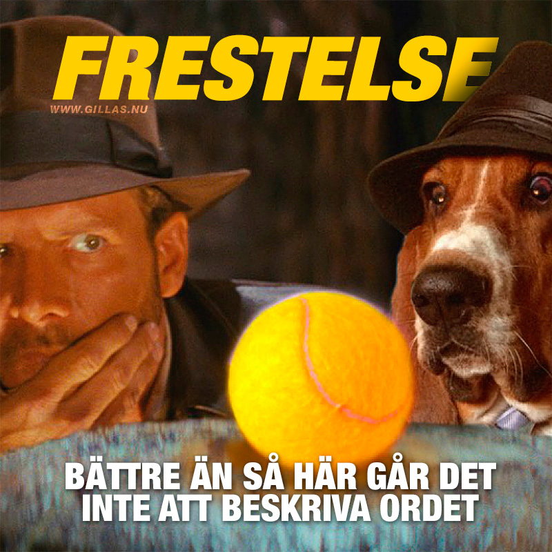 Harrison Ford som Indiana Jones och en hund tittar på en boll - Frestelse