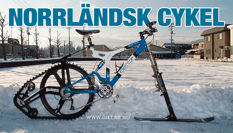 Cykel med snökedja och skida - Norrländsk cykel