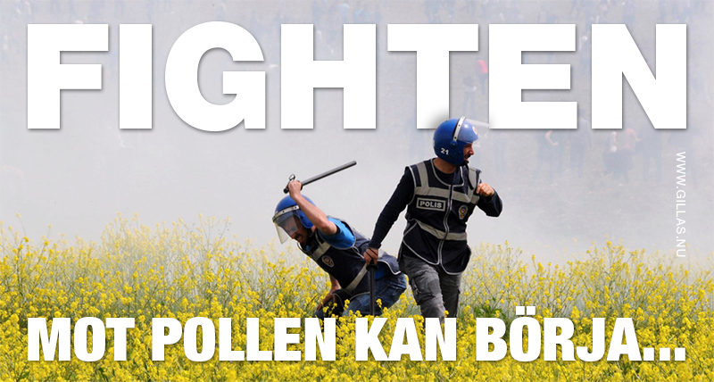 Kravallpoliser slår i gräset - Fighten mot pollen kan börja