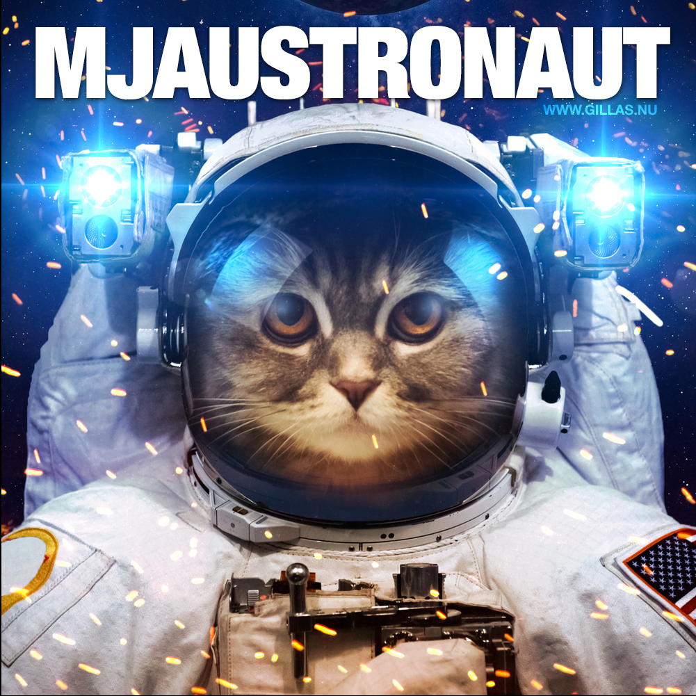Katt i rymddräkt - Mjaustronaut