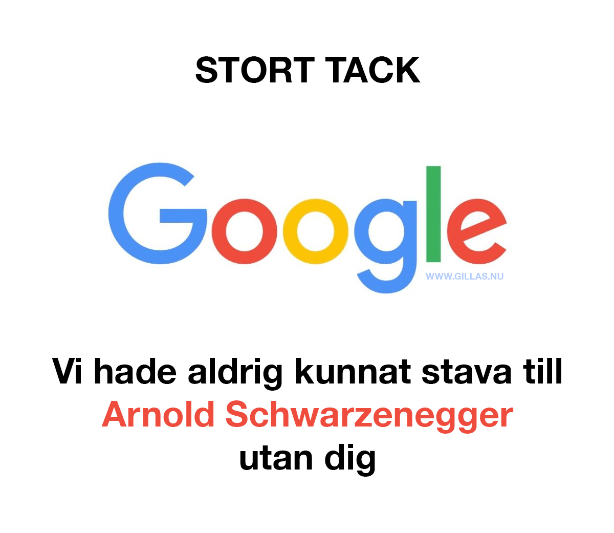 Roligt citat om Google - STORT TACK GOOGLE, vi hade aldrig kunnat stava till Arnold Schwarzenegger utan dig