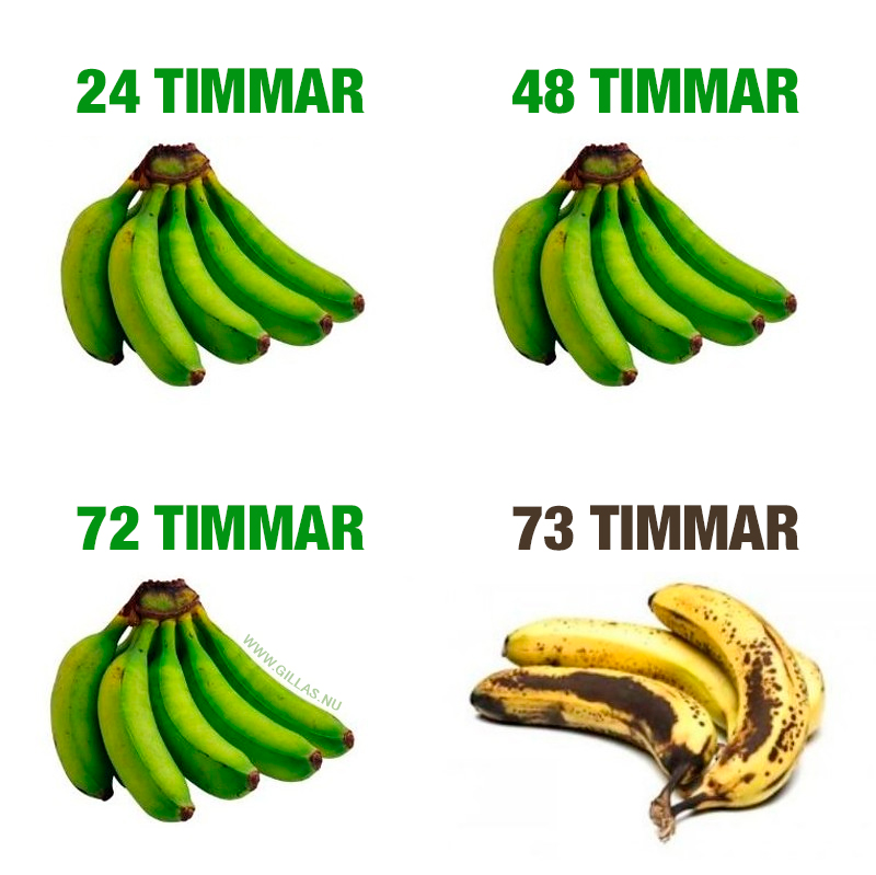 En banans mognadsstadier