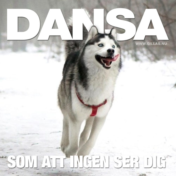 Dejta bilder och videoklipp ingen