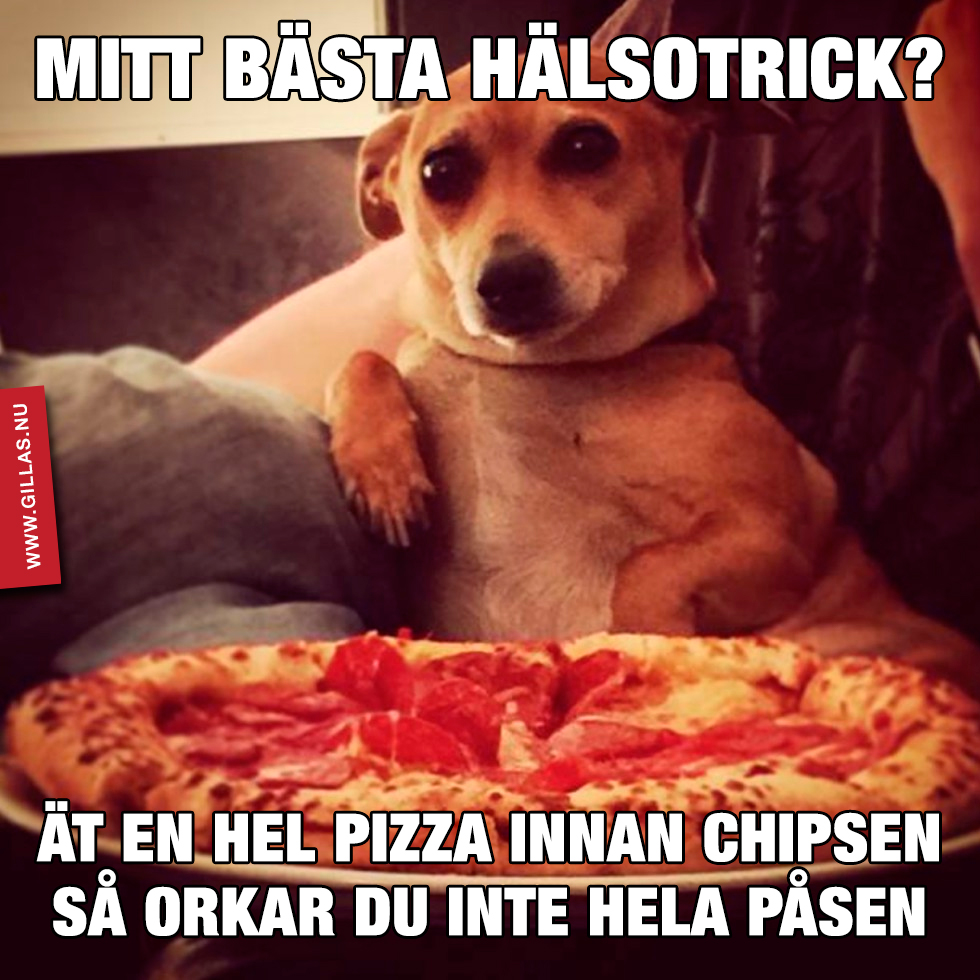 Hund framför pizza - BÄSTA HÄLSOTRICKET: Ät en hel pizza innan chipsen så orkar du inte hela påsen