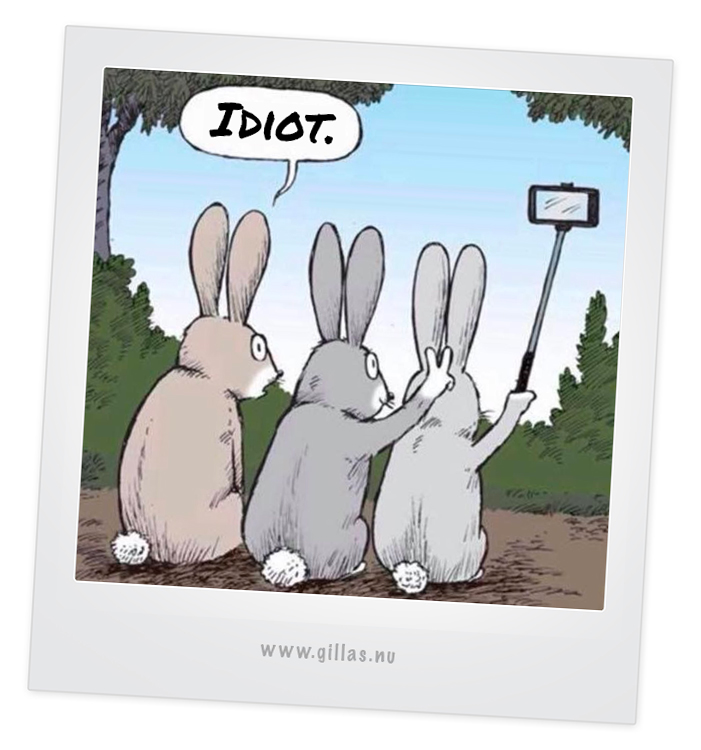 Tecknad bild med kaniner som tar selfie