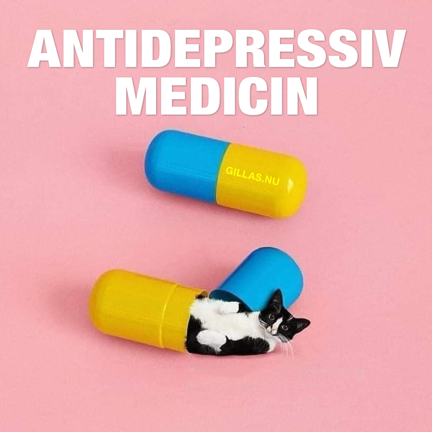 Söt katt i stora medicinkapslar - Antidepressiv medicin